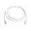Patch Cord MC6 Modular Cat6 UTP, CM/LS0H, 5ft, Color Blanco, Versión Bulk (Sin Empaque Individual)