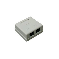Caja de pared con Jack UTP Cat5e y Jack RJ11 telefónico