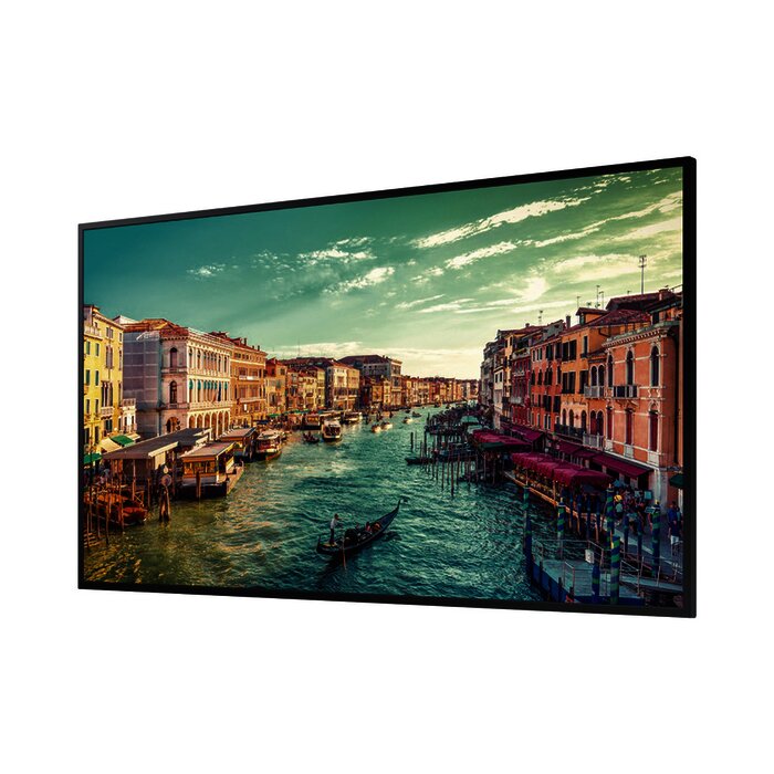 Pantalla Profesional LED de 49", UHD 4K (3840x2160p), Entradas de Video HDMI/DVI-D/DisplayPort/HDCP, Bocinas Integradas de 10 W. Compatible VESA