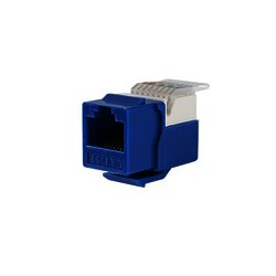 Módulo Jack Keystone Cat5e sin Herramienta (toolless) para faceplate - Color Azul