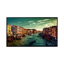 Pantalla Profesional LED de 49", UHD 4K (3840x2160p), Entradas de Video HDMI/DVI-D/DisplayPort/HDCP, Bocinas Integradas de 10 W. Compatible VESA