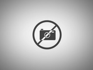 KIT D/48 JUMPER HEMBRA P/12VCD